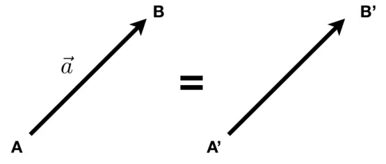 1-ccst.webp