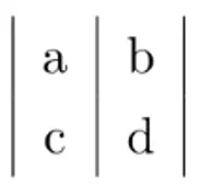 6-xvsb.webp