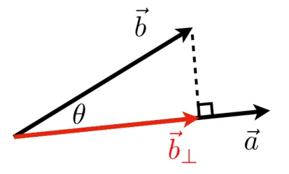 7-ennz.webp